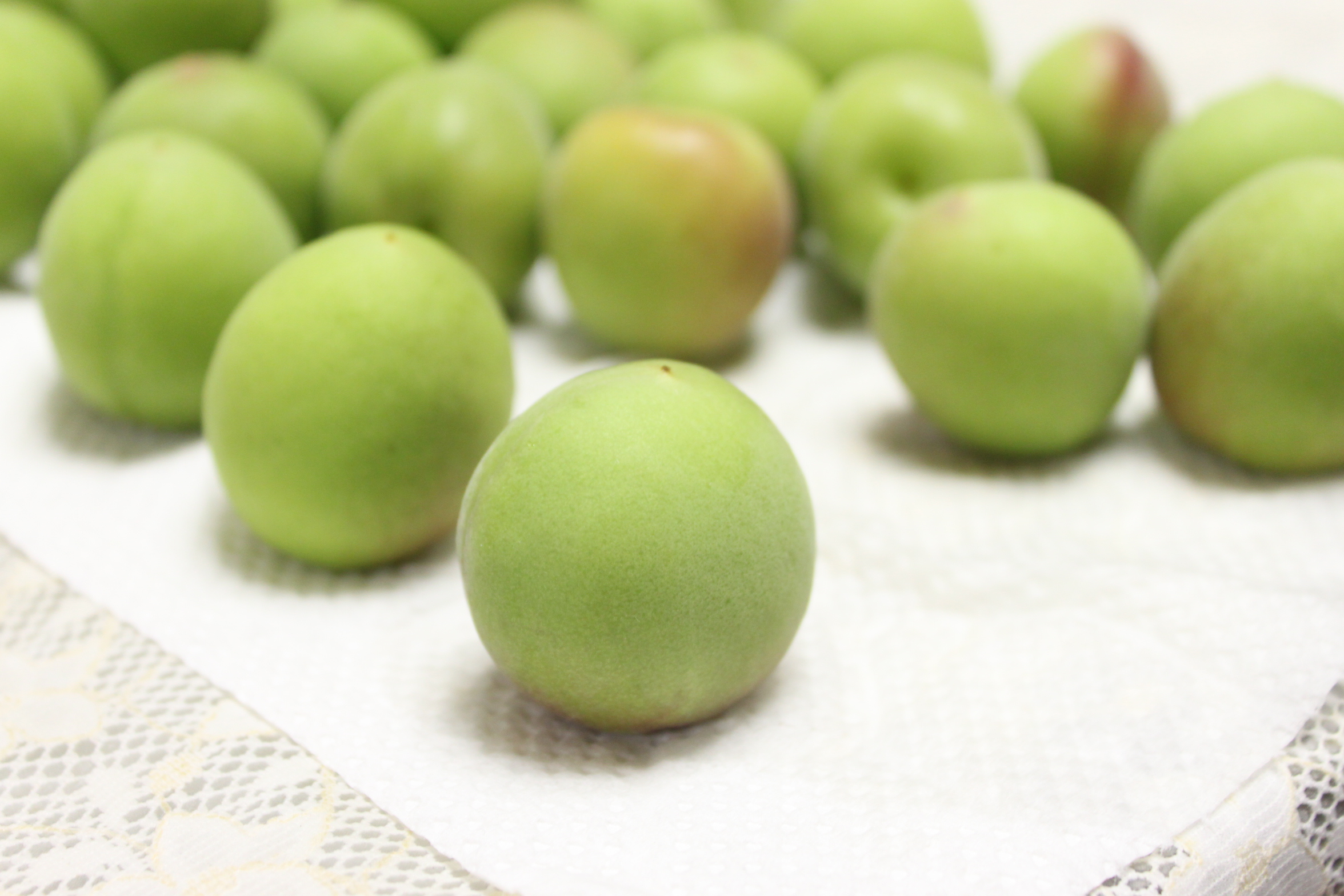 クリックで拡大